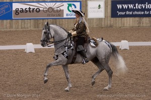 Lusitano Breed Society of Great Britain Show - Hartpury College - 27th June 2009